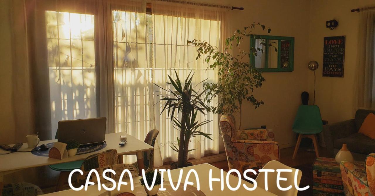 Casa Viva And